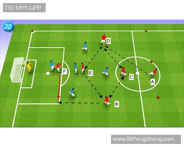 足球新手必看：从力量训练到实战技巧的全面入门指南